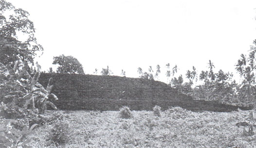 Figure 4: View of the eastern part of Talietumu platform, 90m long, 60m wide and reaching 5m high.